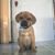 Frankie Raymond's profile image