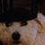 Riva Bard's profile image