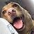 Laurie Stone Hammond's profile image