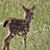 Janet Johnson Madden's profile image