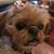 Diane Ridgeway McLean's profile image