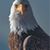 Kevin Flynn's profile image