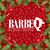 Ciontoli Tano Gaetano's profile image