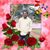 Arockia Raj's profile image