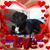 John Ragucci's profile image