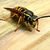 Lynda C Martin's profile image