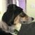 Bill Krasley's profile image