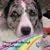 Sherilyn Maloney-Mumme's profile image