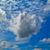 Kimberley Elmore's profile image