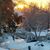 Elizabeth Haanstad Melton's profile image