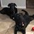 Allen Smith's profile image