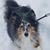 Jennifer Hayes Jubenville's profile image