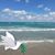 Margaret Childs's profile image
