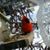 Vicki Sprout's profile image