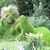 Marti Sivers's profile image