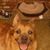 Pam Higgins's profile image