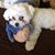Sue Miller's profile image