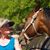 Judi Lawrence DePhillips's profile image