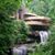 Donna Felmey's profile image