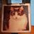 Joann Walbridge Allen's profile image