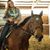 Diane Sedig's profile image
