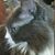 Pamela Shaw's profile image