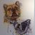 Leslie Willson Rose's profile image