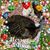 Donna Wolfe's profile image