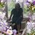 Keisha Johnson's profile image