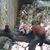 Diane Scarset's profile image