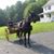 Tom Wandell's profile image