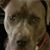 Melissa La Londe Smith's profile image