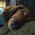 Melissa Bader-Dunn's profile image