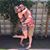 Audrey Poston's profile image