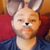 Michael Hall's profile image