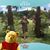Crystal Tomey-Messmer's profile image