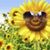 Cindy Lawrence's profile image