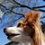 Louise Wetzel's profile image
