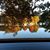 Randy Gerard's profile image