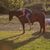 Cathy Seaver's profile image