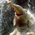 Patricia Liddie's profile image