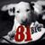 Marco Wicki Wickerath's profile image
