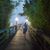 Judy Leeman's profile image
