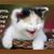 Kimberly Gouty's profile image
