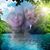 Linda Wolfe Honaker's profile image