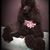 Teresa Thibadeau's profile image