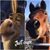Marissa Margraf's profile image