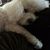 Barbara Chasteen Kannow's profile image