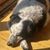 Lisa Burkovich's profile image