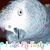Jane Sowers Trace's profile image